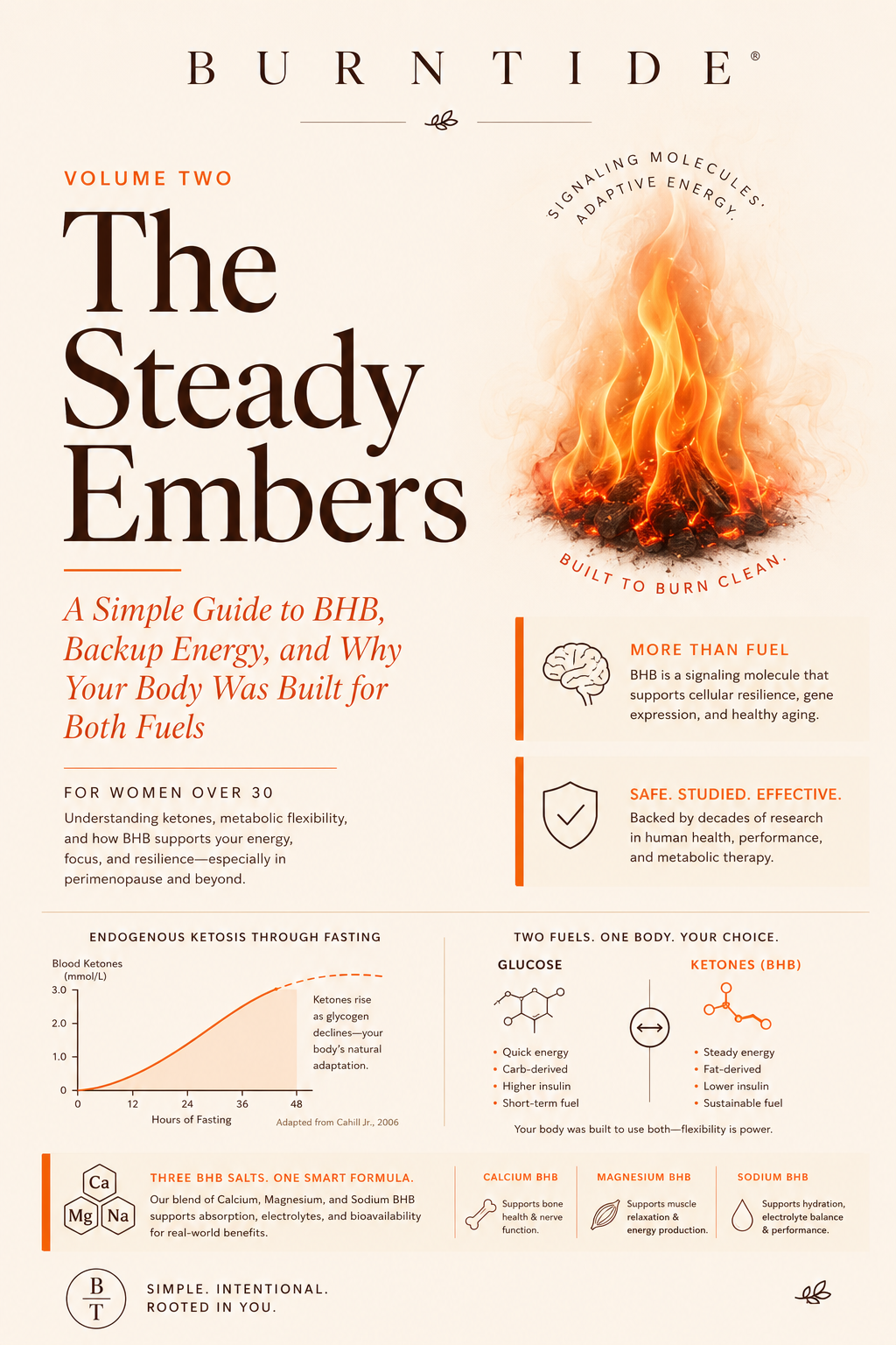 The Steady Embers — bonus ebook